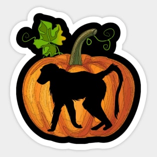 Monkey in pumpkin Sticker